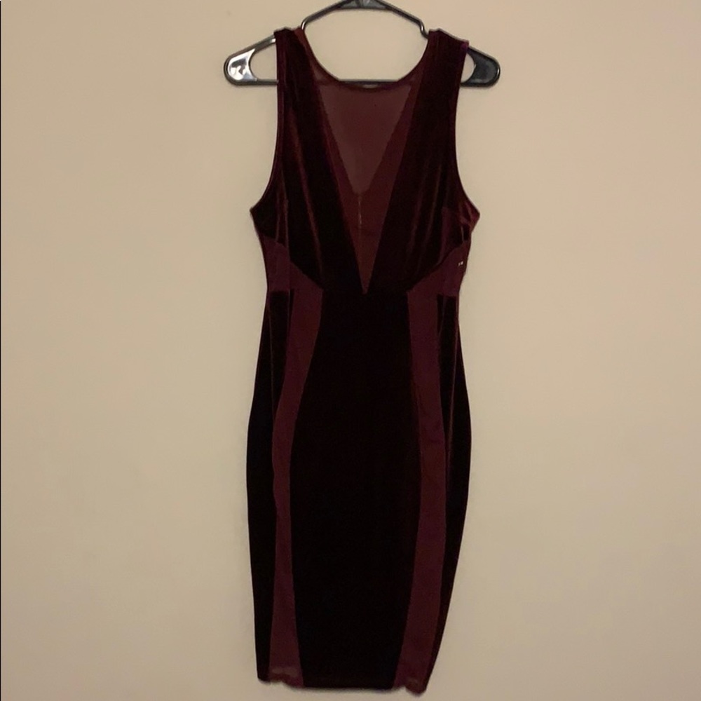 Velvet Sheer dress